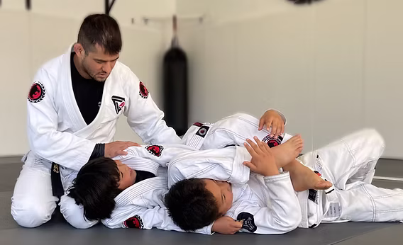 BJJ Position For Beginners